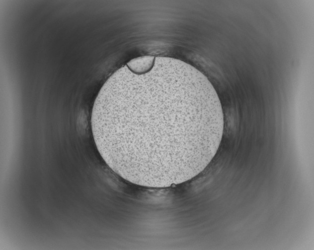 X0000111180667200907291144