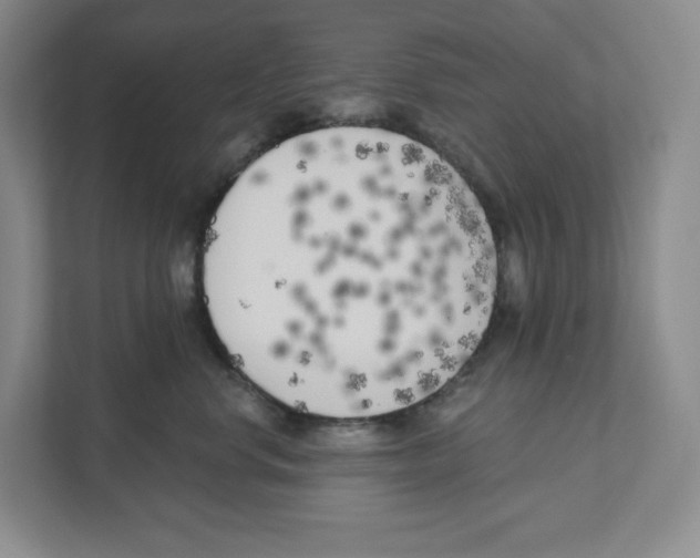 X0000111180668200907291144