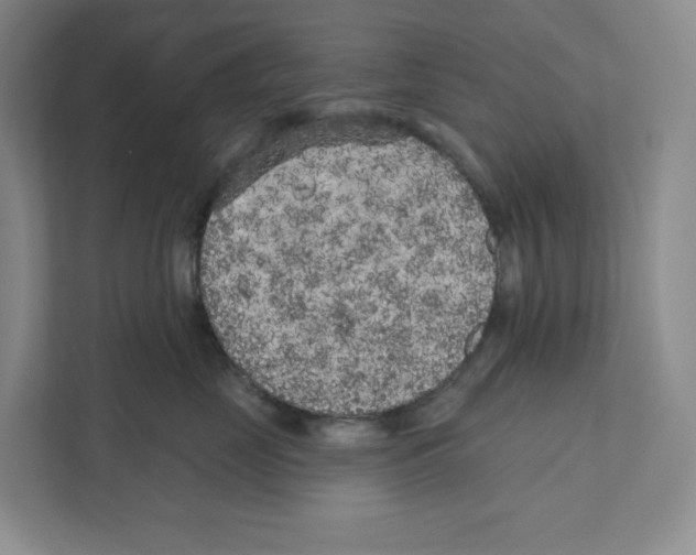 X0000111180669200907291144