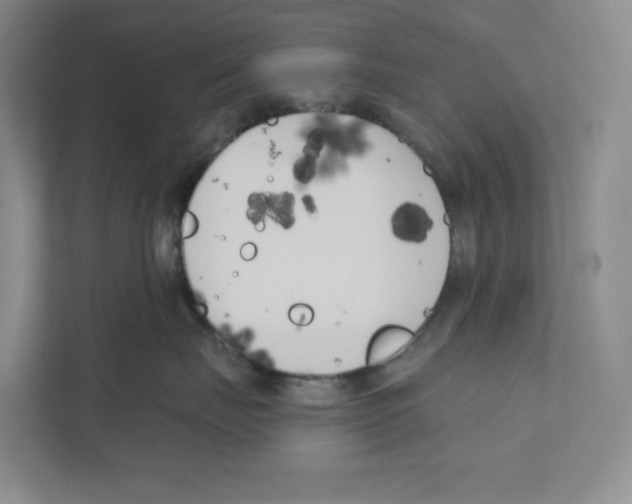 X0000111180671200907291144