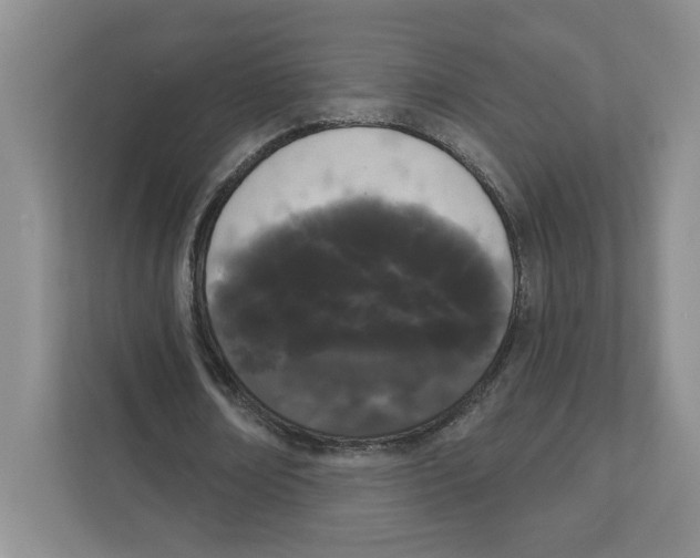 X0000111180674200907291144