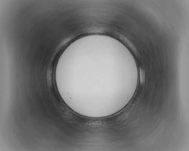 X0000111180675200907291144