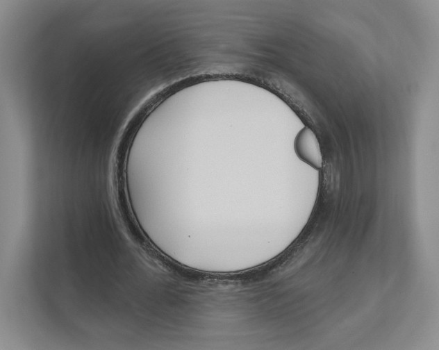 X0000111180676200907291144