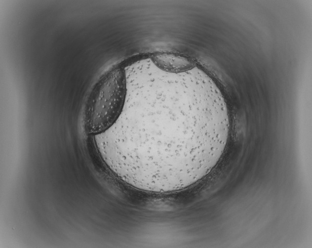 X0000111180680200907291144