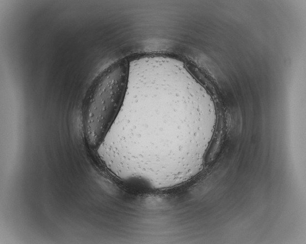 X0000111180684200907291144