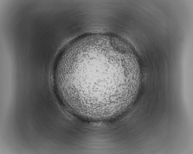 X0000111180688200907291144