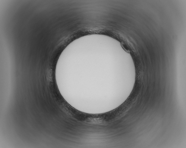 X0000111180689200907291144