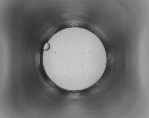 X0000111180694200907291143