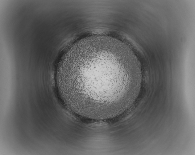 X0000111180696200907291143