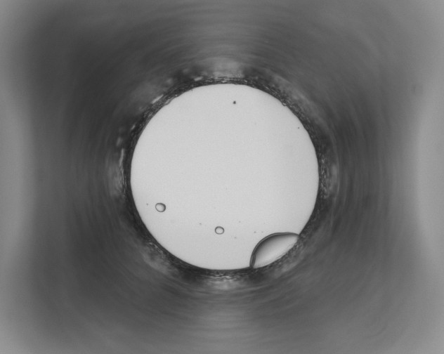 X0000111180704200907291143