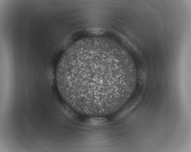 X0000111180707200907291143