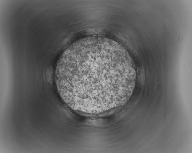 X0000111180712200907291143