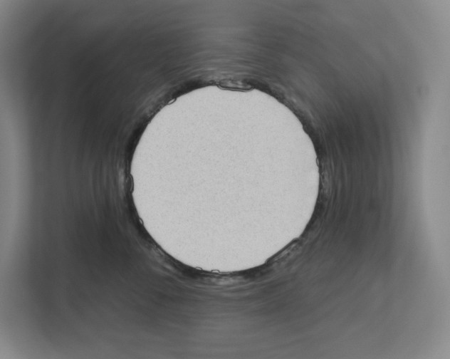 X0000111180716200907291143