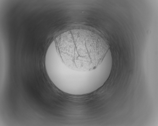 X0000111180720200907291143