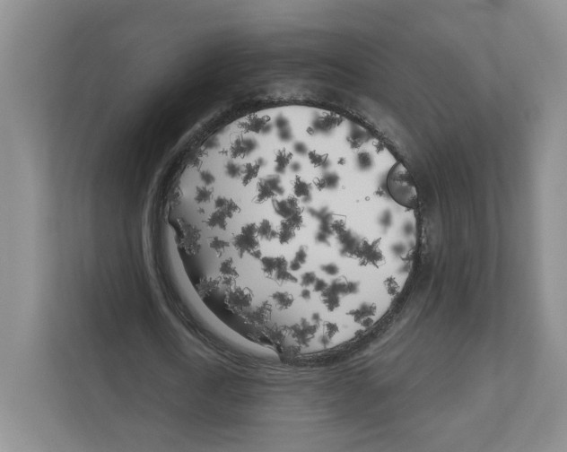 X0000111180722200907291143