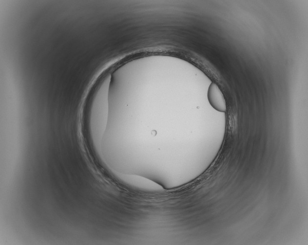 X0000111180724200907291143