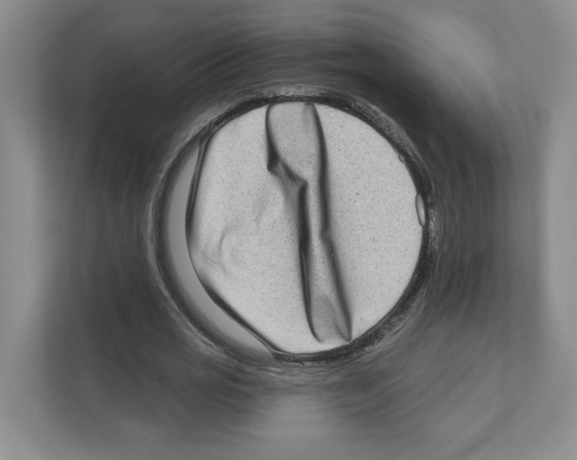 X0000111180725200907291143