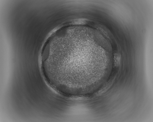 X0000111180726200907291143