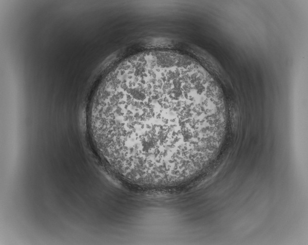 X0000111180729200907291143