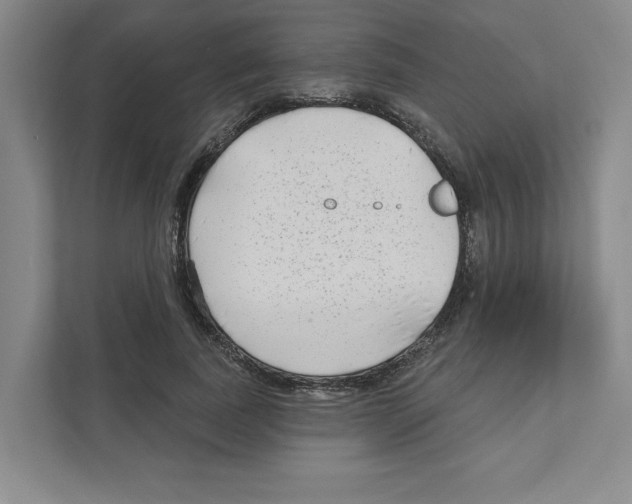 X0000111180739200907291143