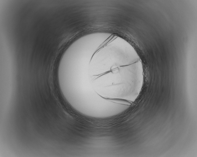 X0000111180740200907291143