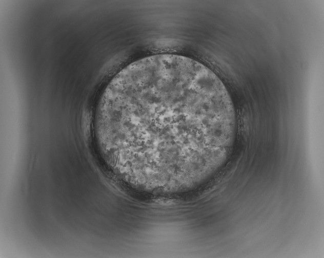 X0000111180742200907291143