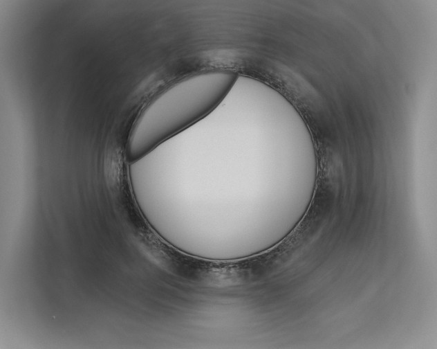 X0000111180744200907291143