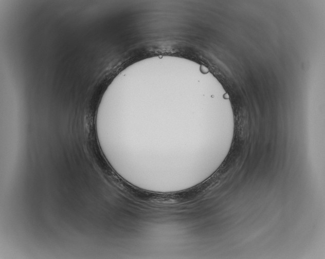 X0000111180747200907291143