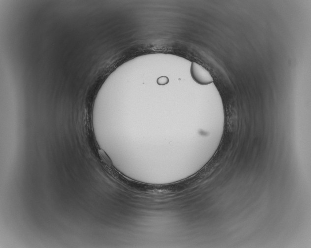 X0000111180748200907291143