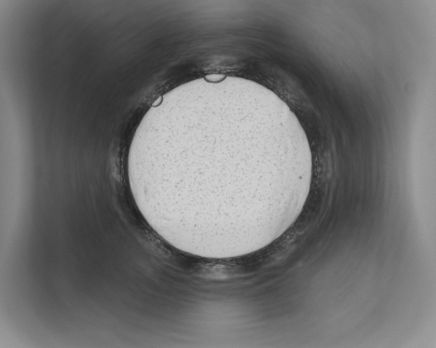 X0000111180755200907291143