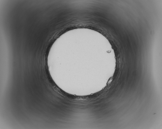 X0000111180756200907291143