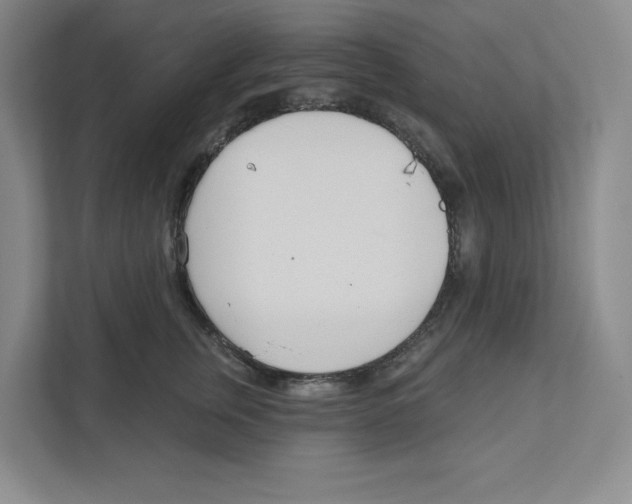 X0000111180759200907291143