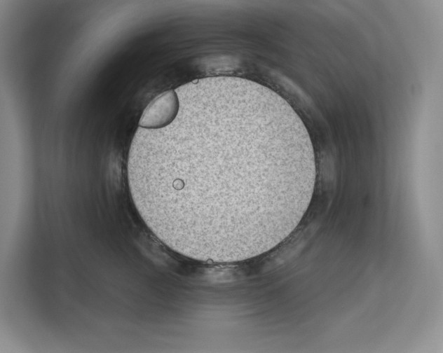 X0000111180761200907291143