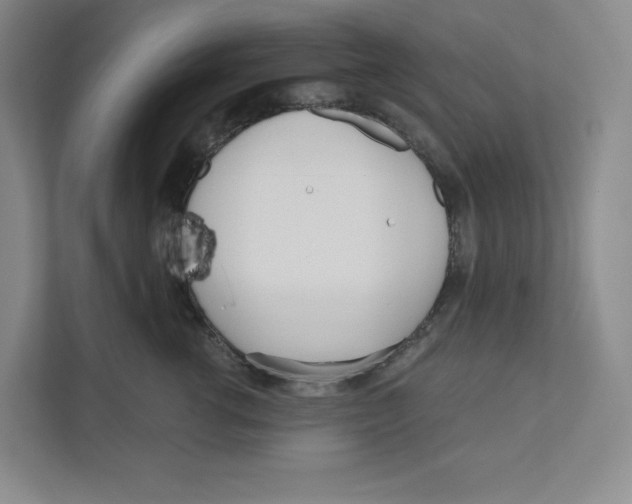 X0000111180762200907291143