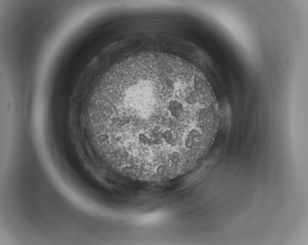 X0000111180765200907291143