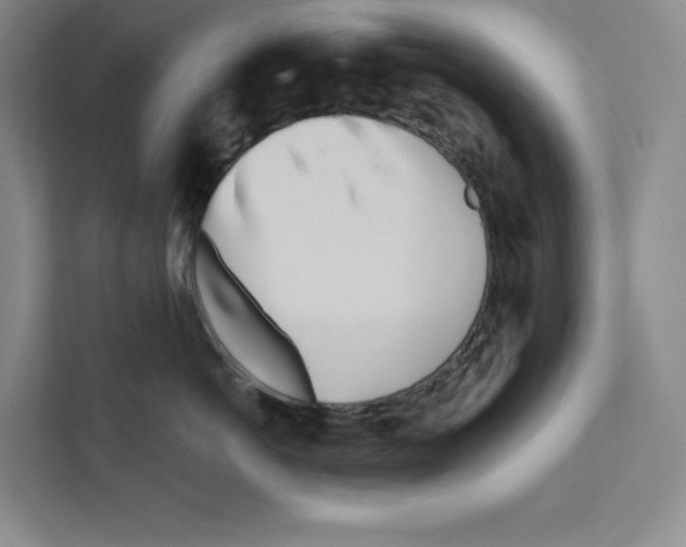 X0000111180766200907291143