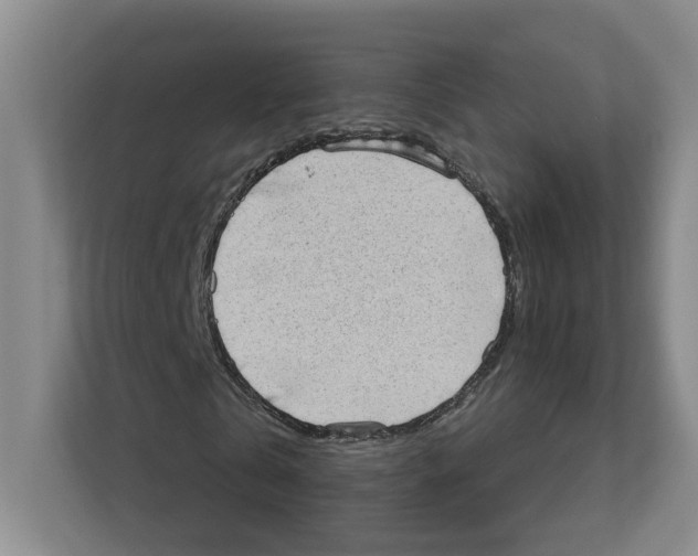 X0000111180769200907291142