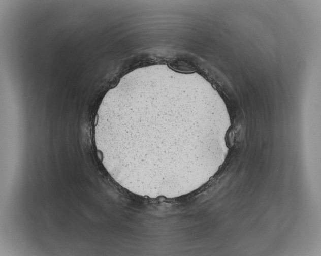 X0000111180772200907291142