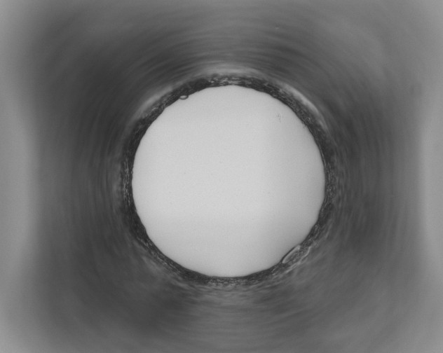 X0000111180775200907291142