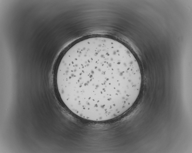 X0000111180779200907291142