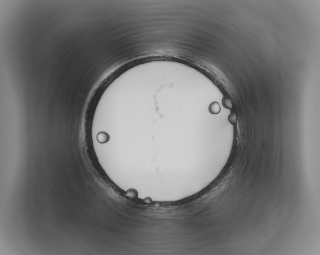 X0000111180780200907291142