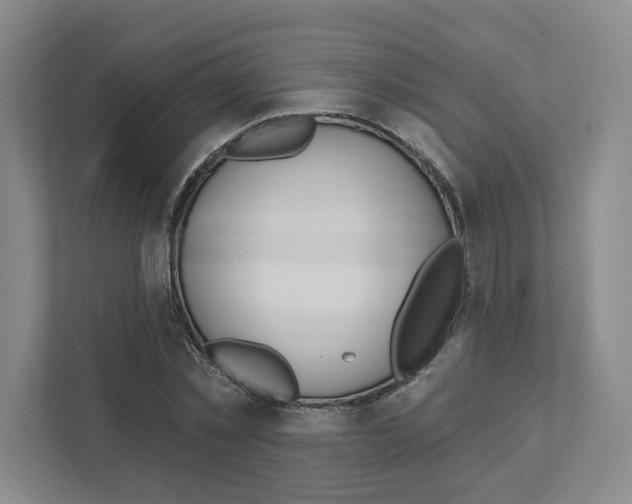 X0000111180781200907291142