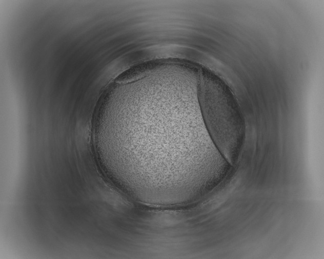 X0000111180785200907291142