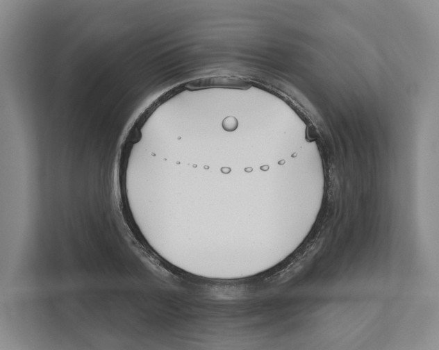 X0000111180788200907291142