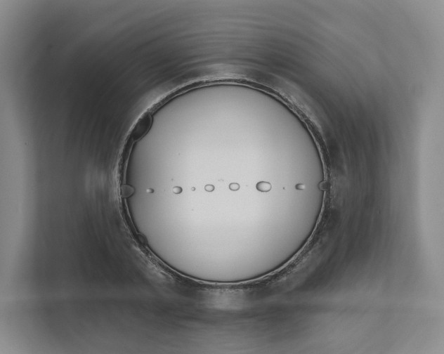 X0000111180789200907291142