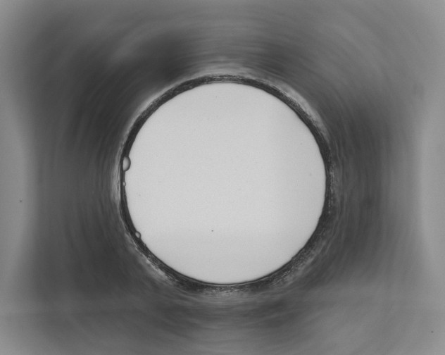 X0000111180791200907291142