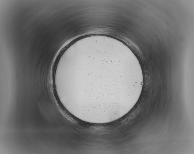 X0000111180792200907291142