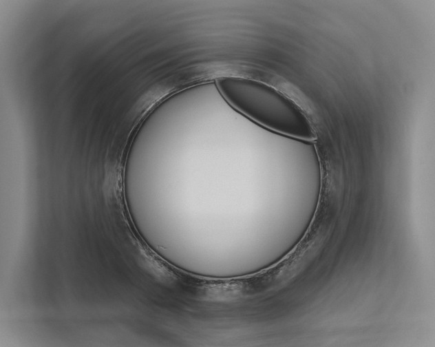 X0000111180793200907291142