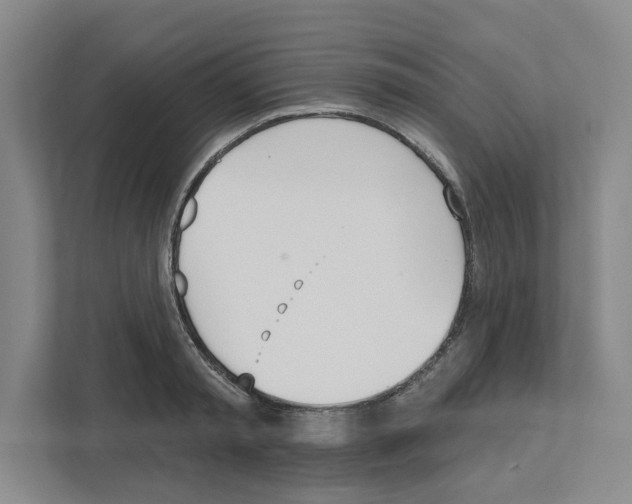 X0000111180797200907291142