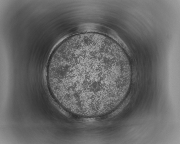 X0000111180798200907291142